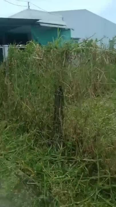 Đất nền Hòa Phú Châu Thành 125m² giá 790 triệu - Gần chợ, ô tô vào tận nơi!