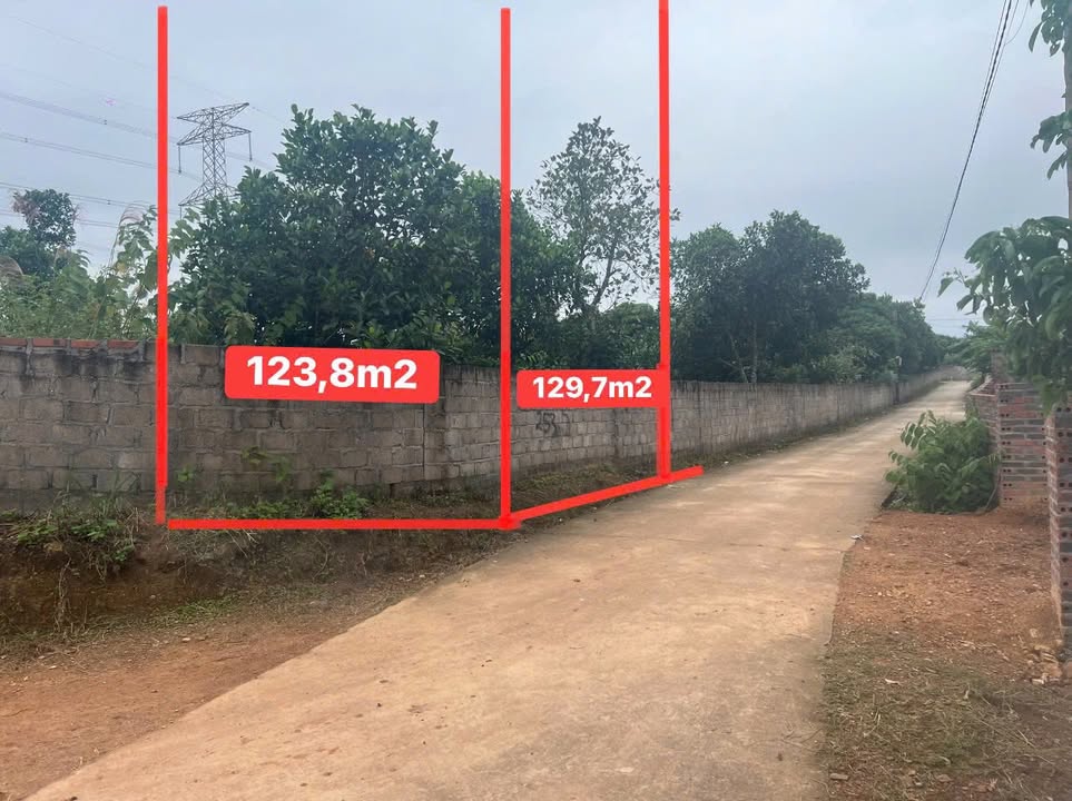 Đất nền Bình Khê, Đông Triều 126m² - Hướng Bắc, giá hấp dẫn!