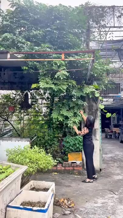 Đất nền Mạo Khê 100m² giá 1 tỷ - Cơ hội đầu tư sinh lời lý tưởng!