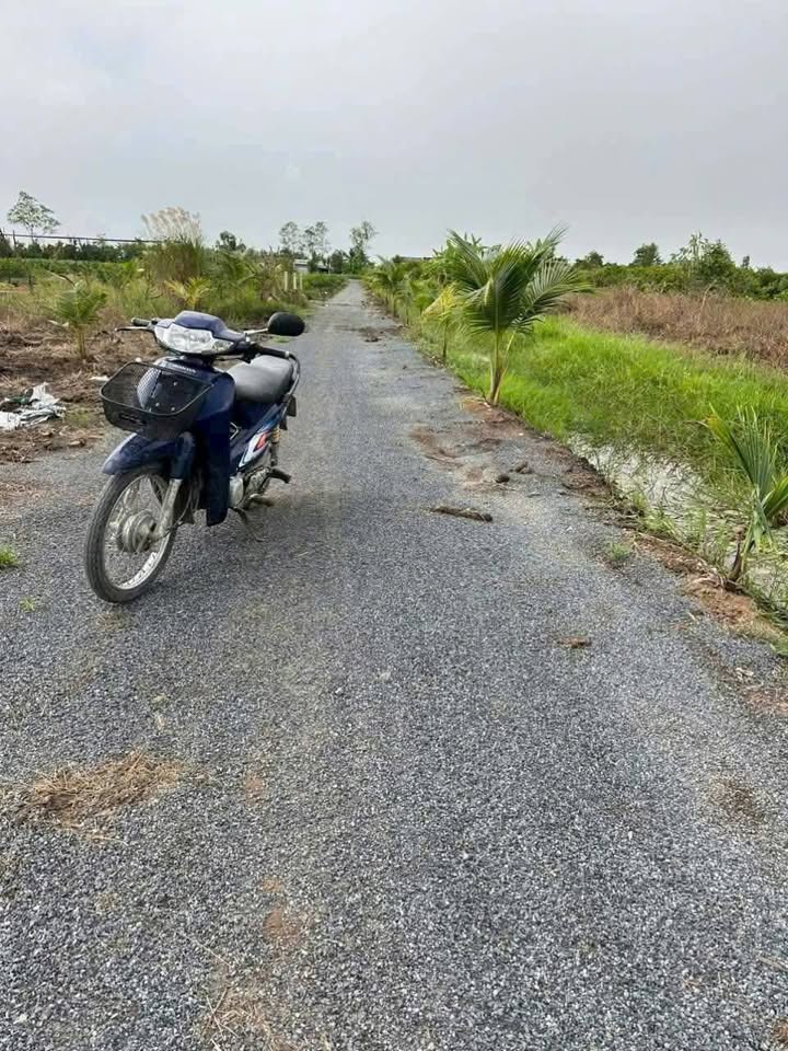 Đất vườn 1000m² giá 610 triệu tại Tân Thành, Thủ Thừa - Đầu tư lý tưởng!