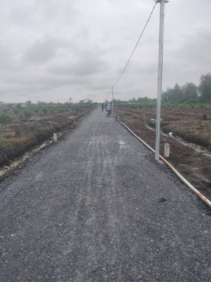 Đất vườn Bình Đức, Bến Lức 500m² giá 280 triệu - Đường ô tô thuận tiện!