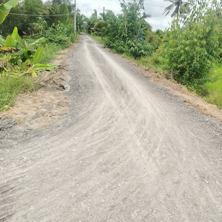 Lô đất mặt tiền Đường Đa Xanh, Mỹ Thạnh, Thủ Thừa, Long An 6800m² giá chỉ 2.38 tỷ - Sổ đỏ chính chủ!