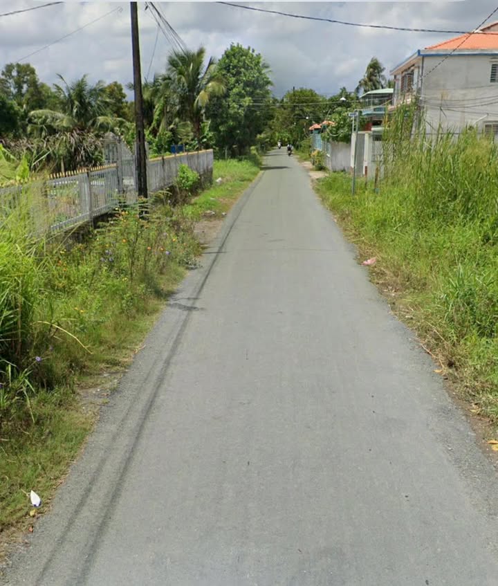 Bán lô đất mặt tiền Nhựt Chánh, Bến Lức 2800m² - Đầu tư sinh lời ngay!