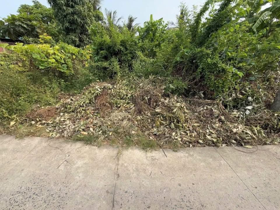 Đất thổ cư 283m² tại Long Định, Cần Đước - Giảm giá hấp dẫn chỉ còn 2 tỷ!