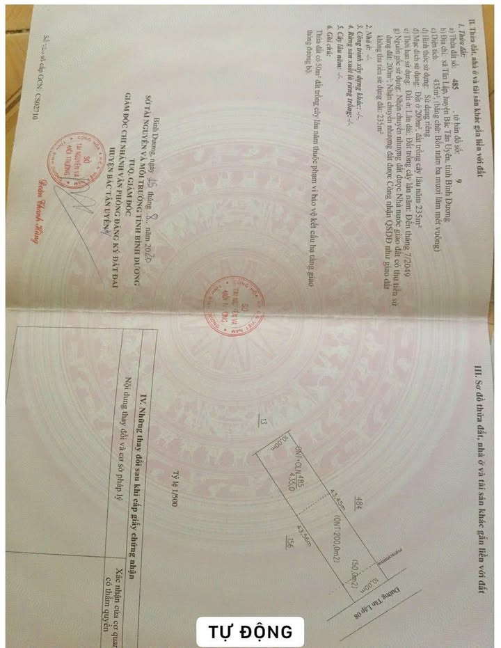 Đất nền Đường Bêtông Tân Lập 450m² giá 3 tỷ - Cơ hội đầu tư tuyệt vời!