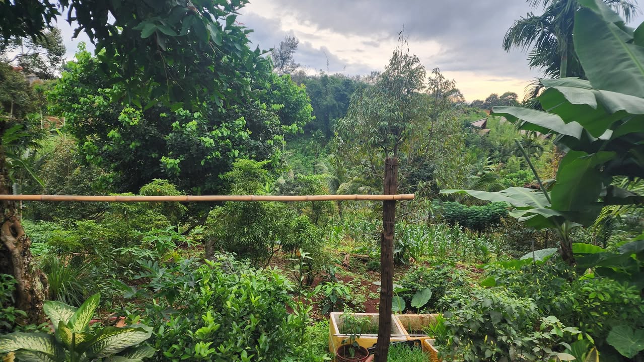 Nhà vườn Hòa Thắng Buôn Ma Thuột 1080m² - Vị trí đắc địa gần sân bay!