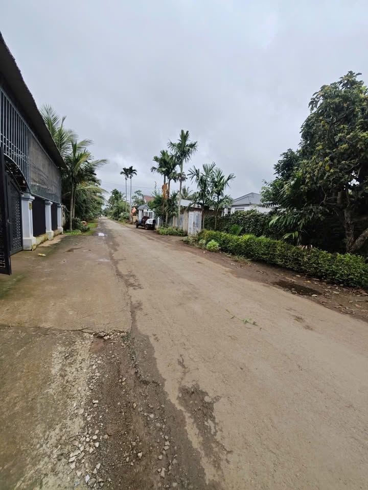 Bán đất mặt tiền Mậu Thân, Buôn Ma Thuột, 315m² chỉ 2.45 tỷ - Cơ hội đầu tư hiếm có!