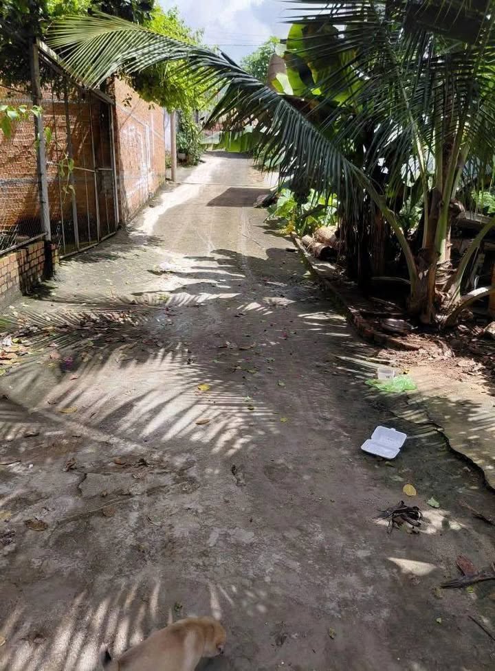 Nhà cho thuê hẻm Amasa, Buôn Ma Thuột - Giá chỉ 2.8 triệu/tháng