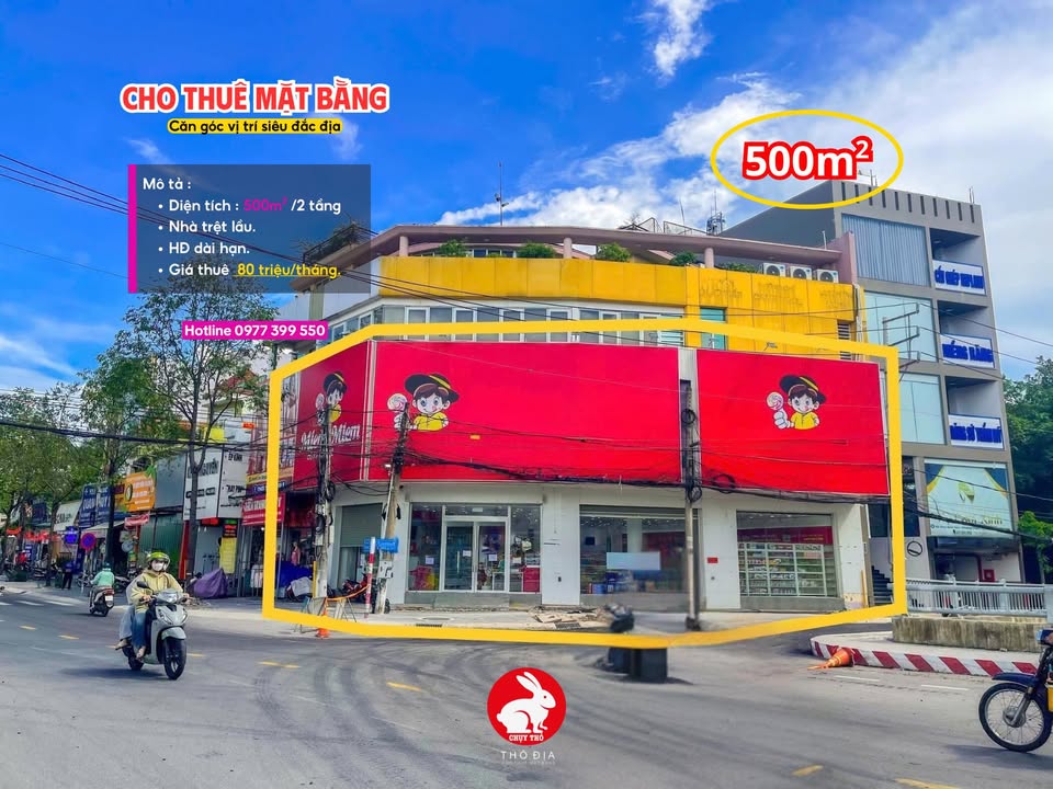 Cho thuê mặt bằng 500m² tại Thủ Dầu Một - Địa điểm kinh doanh lý tưởng!