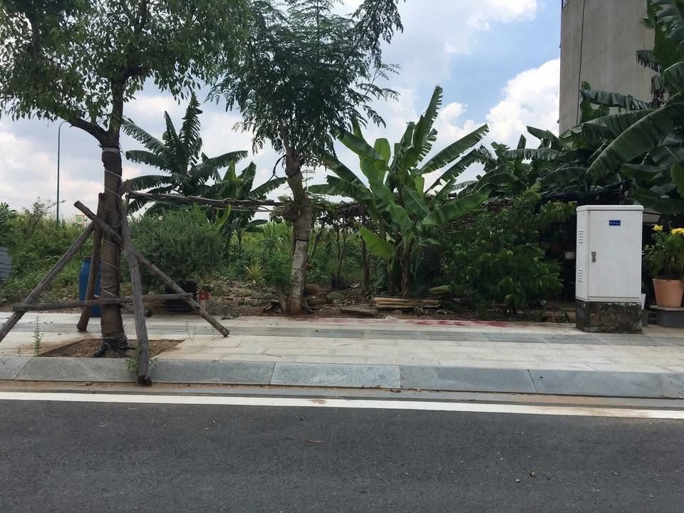 Bán đất mặt tiền đường Đỗ Xuân Hợp, An Phú, Quận 2 - Sổ hồng riêng, giá 20 tỷ