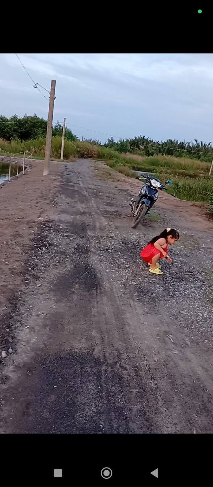 Đất lúa 8000m² Xã Long Hựu Đông, Cần Đước - Giá chỉ 3.2 tỷ VND!