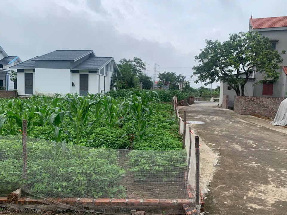 Đất thổ cư thôn Thanh Hà, An Thịnh 91m² - Sổ hồng chính chủ, đầu tư sinh lời cao!