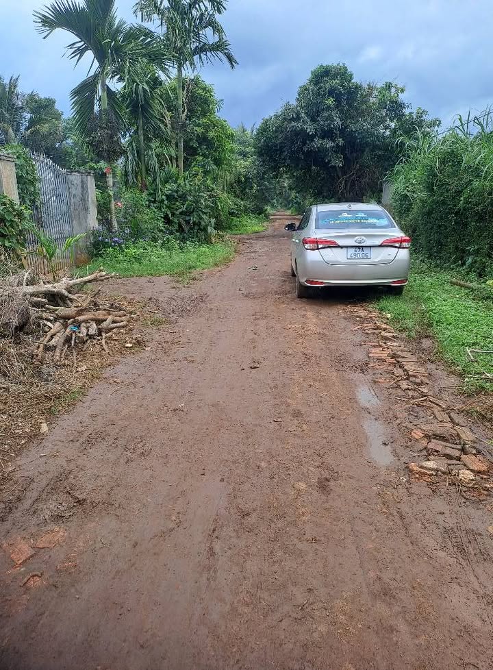 Đất thổ cư Hòa Đông, Krông Pắc 140m² giá 650 triệu - Cơ hội đầu tư tuyệt vời!