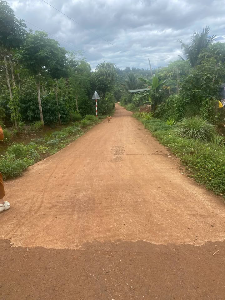 Đất thổ cư 150m² tại Đạt Hiếu, Buôn Hồ chỉ 580 triệu - Đầu tư sinh lời ngay!