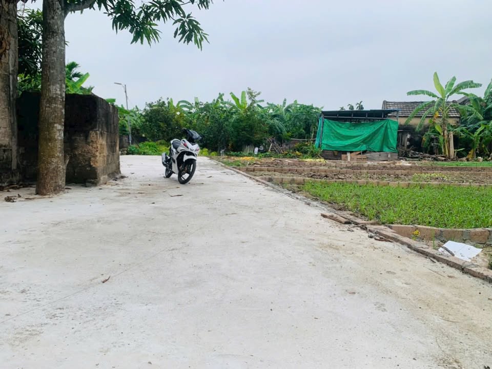 Đất nền Lê Ích Mộc, Thủy Nguyên 62.9m² - 72.9m² giá chỉ từ 700 triệu!