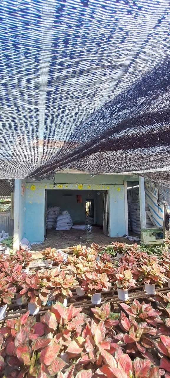 Đất Tân Khánh Đông 828m² giá 1 tỷ - Sổ đỏ chính chủ, thuận tiện xây dựng!