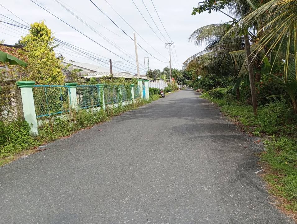 Đất nền đường Lê Hồng Phong, thị trấn Lai Vung 1255m² giá 3.7 tỷ - Đầu tư sinh lời tuyệt vời!