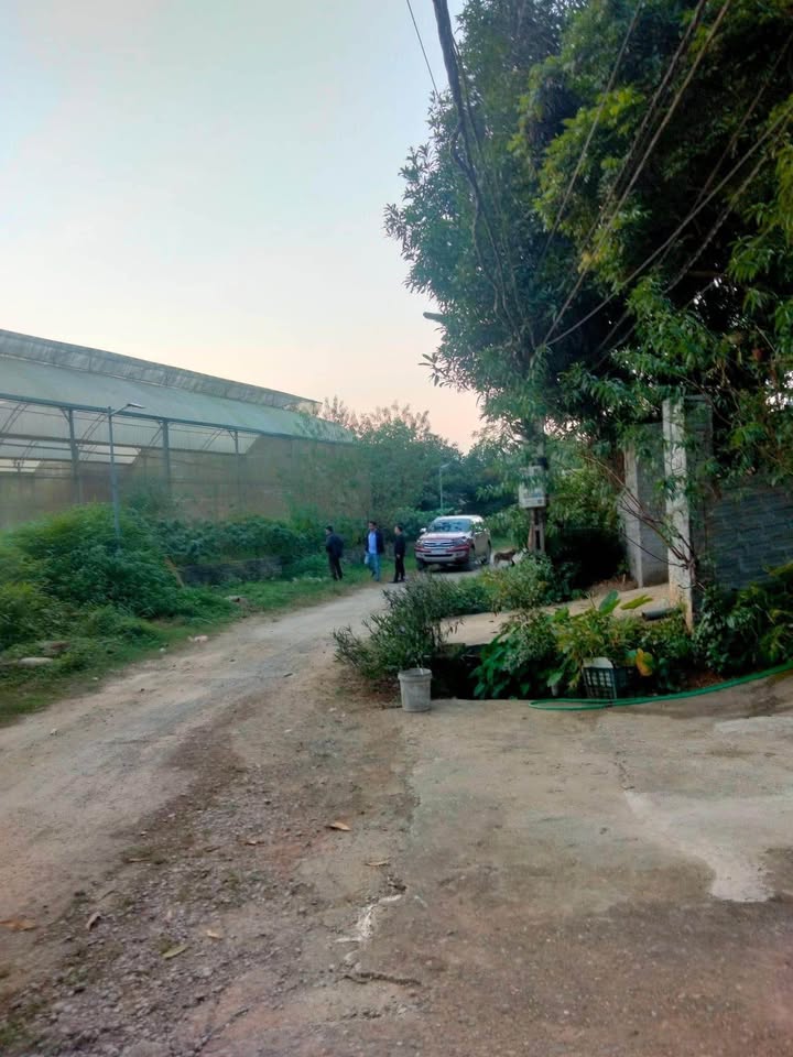 Nhà cấp 4 gác lửng tại thôn 3 Đồng Tuyển, Lào Cai 100m² giá 830 triệu - Yên tĩnh, thoáng đãng!