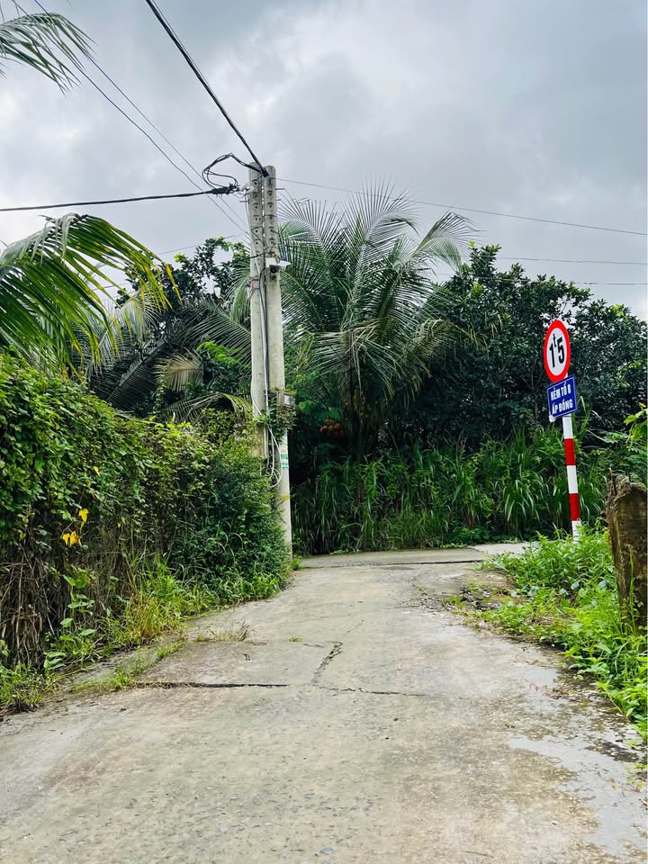 Đất nền 100m² Trung An, Mỹ Tho giá chỉ 500 triệu - Cơ hội đầu tư hấp dẫn!