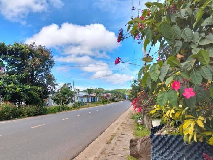 Đất nền mặt tiền đường DH11, xã Quảng Lập, Đơn Dương, 897m² - Giá chỉ 250 triệu!