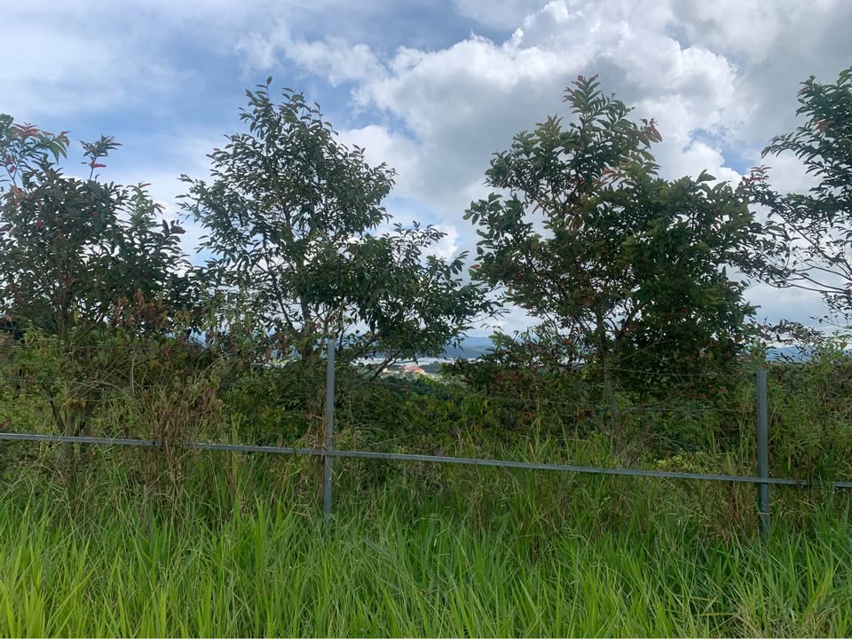 Đất Nền Ninh Gia - Đức Trọng 6700m² giá 3.685 tỷ - View Hồ Thủy Điện Đại Ninh!