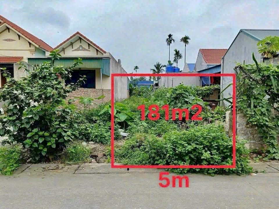 Đất nền Thôn Đá Bạc, Thủy Nguyên 181m² giá 1.1 tỷ - Cơ hội đầu tư tuyệt vời!