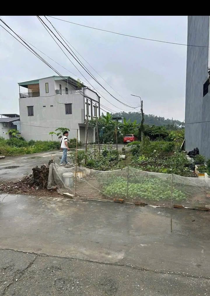 Đất đấu giá ngõ 61 Đẩu Vũ 2, Phù Liễn, Hải Phòng 84m² - Đầu tư sinh lời tuyệt vời!