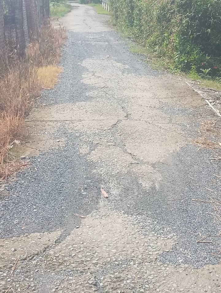 Đất thổ cư Mỹ Phú Thủ Thừa 144m² giá 450 triệu - Chính chủ bán gấp!