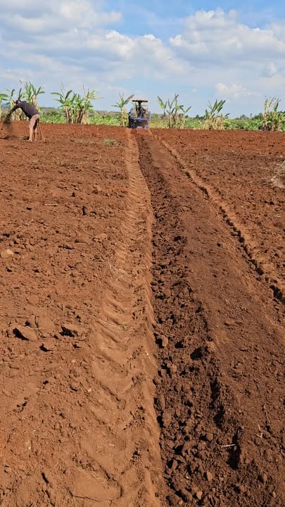 Lô đất Farm 1800m² tại Mang Yang, Gia Lai - Đất đỏ bazan, giá thỏa thuận!