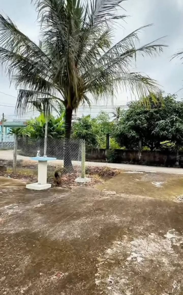 Nhà vườn Cần Giuộc 914m² giá chỉ 2.55 tỷ - Không gian nghỉ dưỡng lý tưởng!