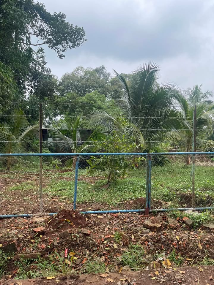 Đất đẹp Long Khánh 1.000m² giá 900 triệu - Phong thủy cực tốt!