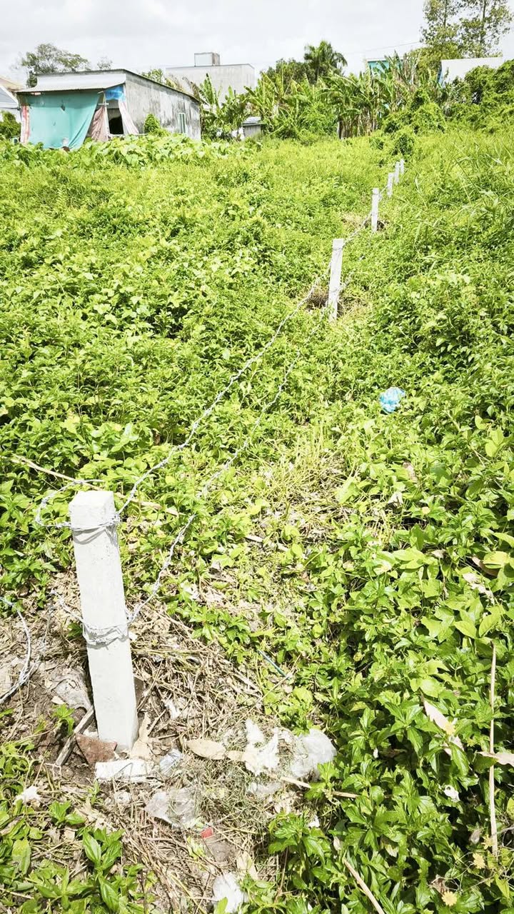 Đất 2 mặt hẻm Sưu Vạn Hạnh, An Hòa 215m² giá 980 triệu - Ô tô tới đất, đầu tư sinh lời!