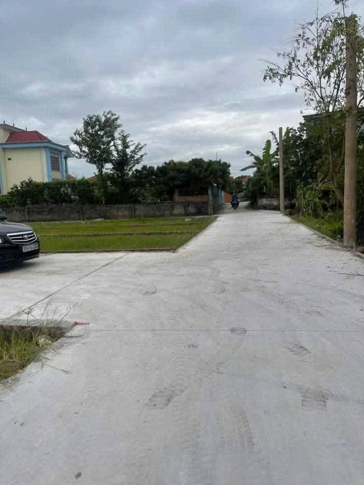 Đất nền Thanh Hồng, Thanh Hà 100m² giá thỏa thuận - Cơ hội đầu tư sinh lời!