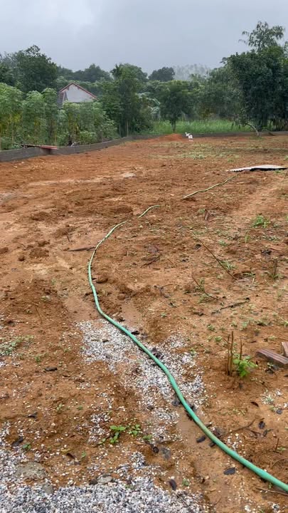 Đất nền Thanh Thủy 539m² giá 2 tỷ - Mặt tiền kinh doanh đẹp