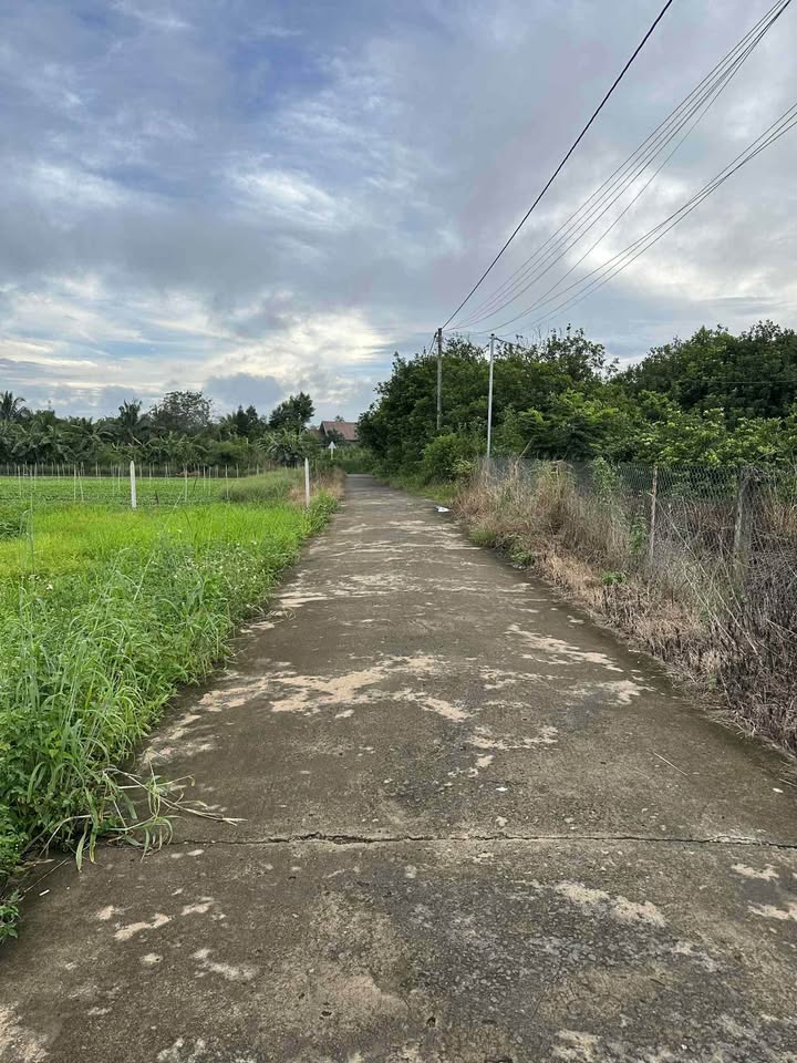 Đất nền xã Bảo Hòa, Xuân Lộc, 140m² giá 600 triệu - Khu dân cư phát triển