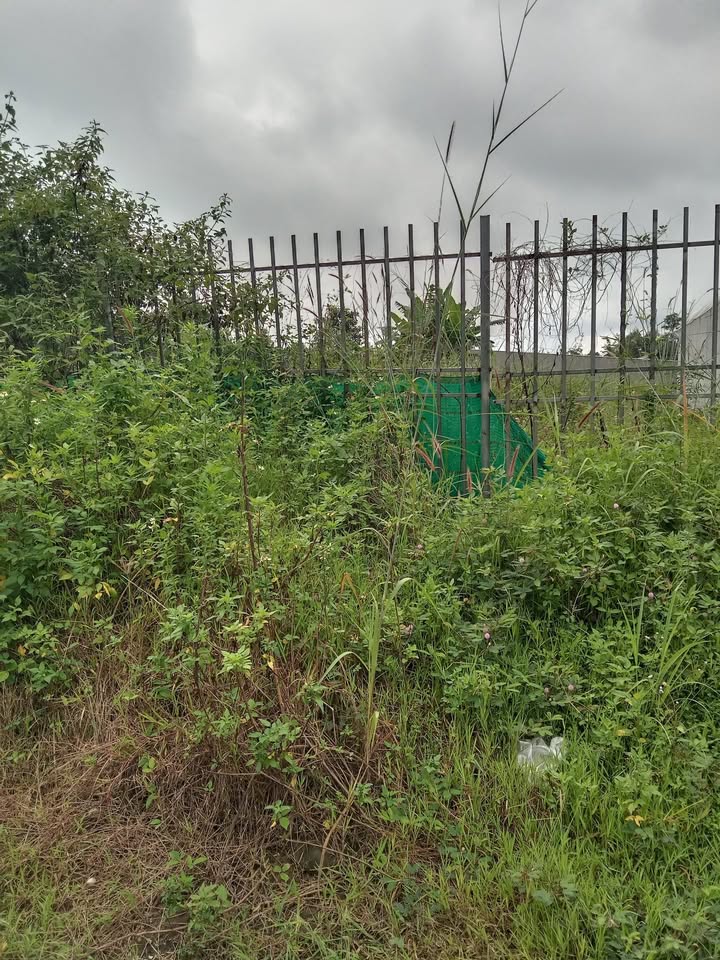 Đất thổ cư Khu phố 2, thị trấn Gia Ray 250m² giá chỉ 1.55 tỷ - Cơ hội đầu tư tuyệt vời!