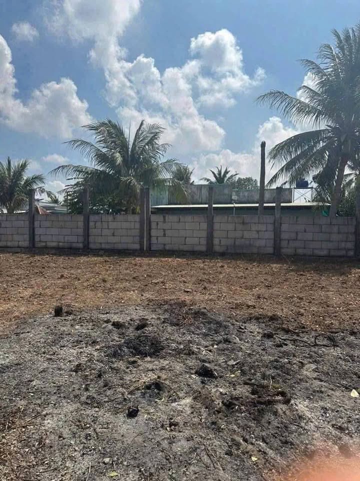 Đất nền 1000m² tại xã Mỹ Lệ, Cần Đước, Long An - Giá 1.4 tỷ, Sổ hồng chính chủ!