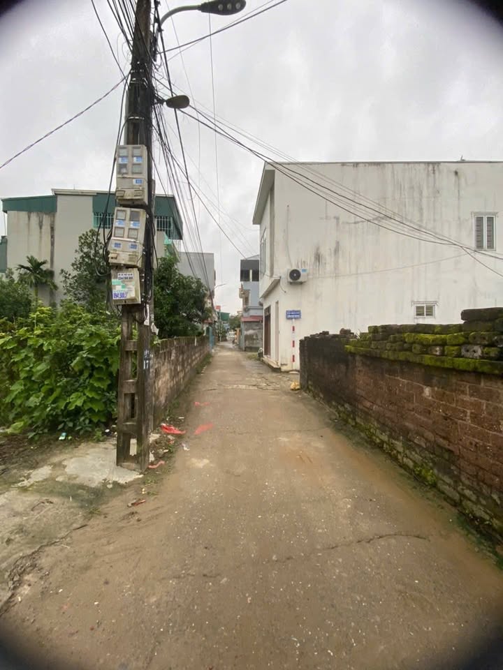 Đất nền Ngõ 141 Phạm Thuật Duật 50m² giá 1.8 tỷ - Đầu tư sinh lời ngay!