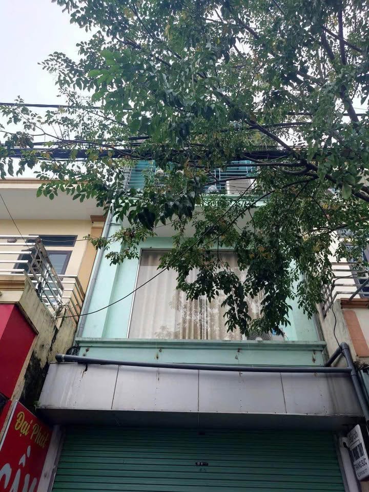 Đất nền Vạn Hạnh Ninh Bình 132m² - Hướng Nam, giá thỏa thuận hấp dẫn!