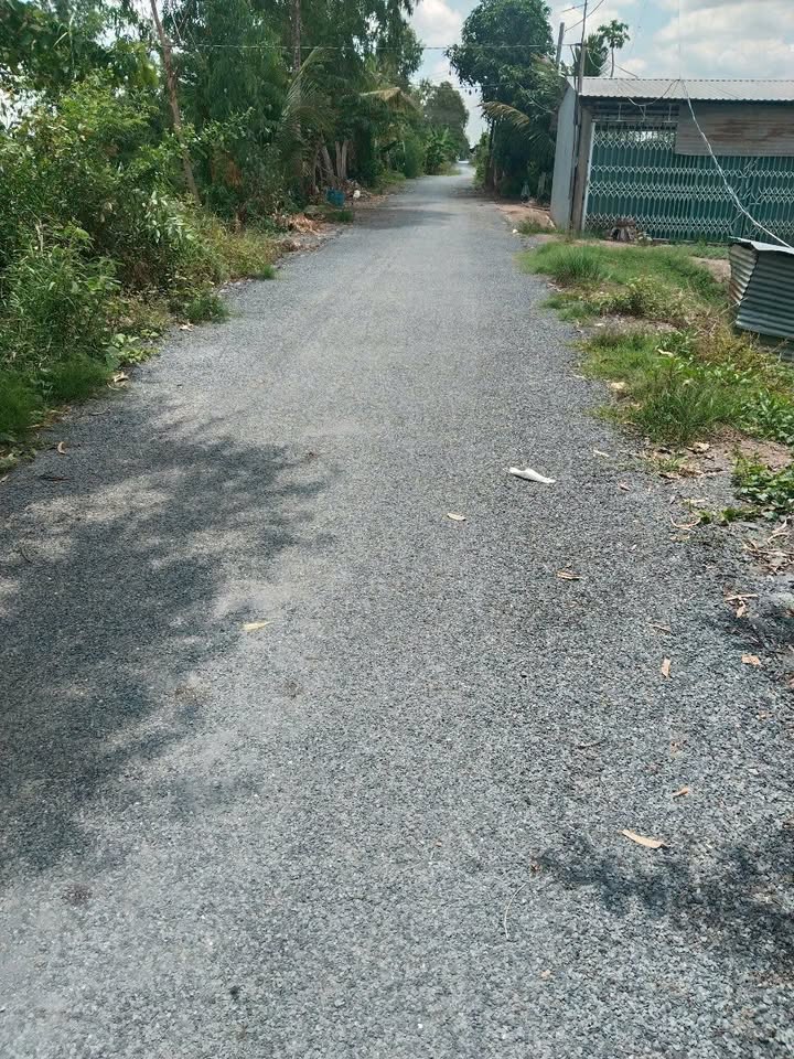 Farm 4700m² tại Mỹ Hiệp, Đồng Tháp - Cho thuê dài hạn chỉ 4.2 triệu/năm!