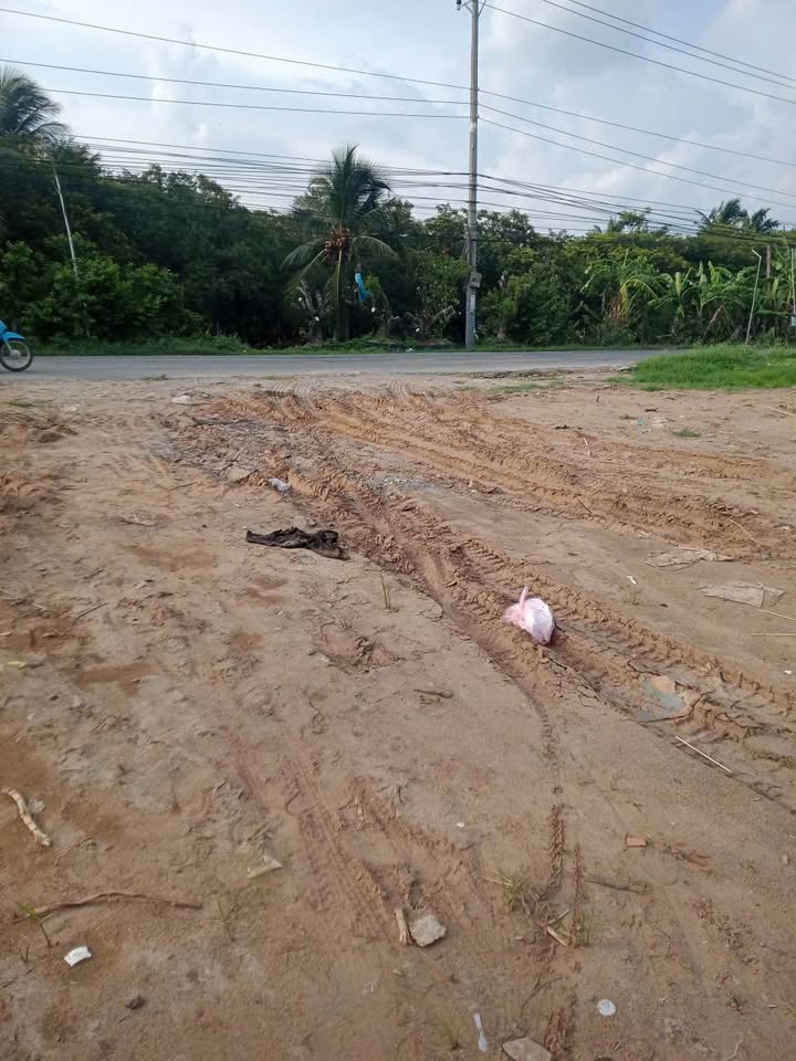 Đất mặt tiền TL864 Phú Phong 12.779m² - Pháp lý rõ ràng, thích hợp xây dựng công ty!