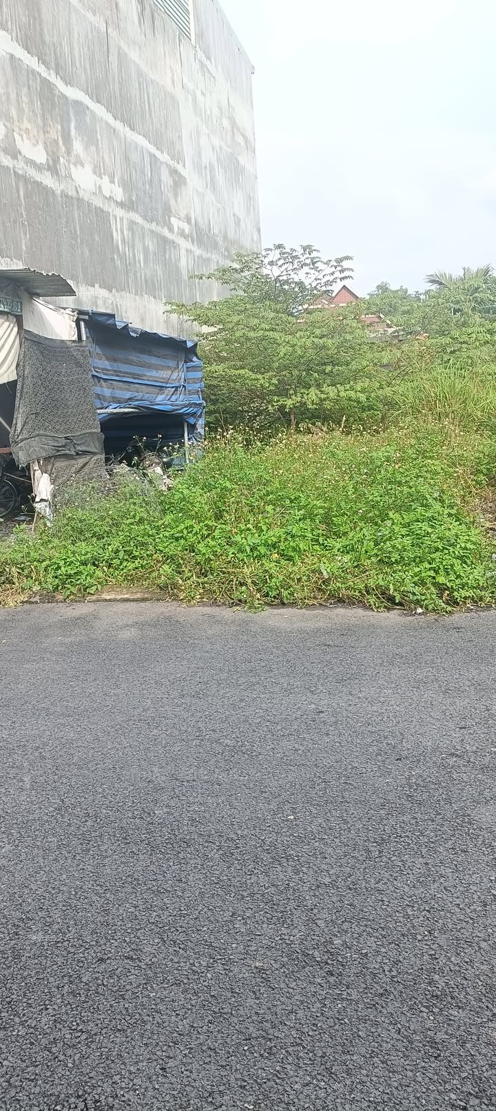 Lô đất Tân Bình Dĩ An 74m² giá 2.15 tỷ - Tiềm năng đầu tư cao!