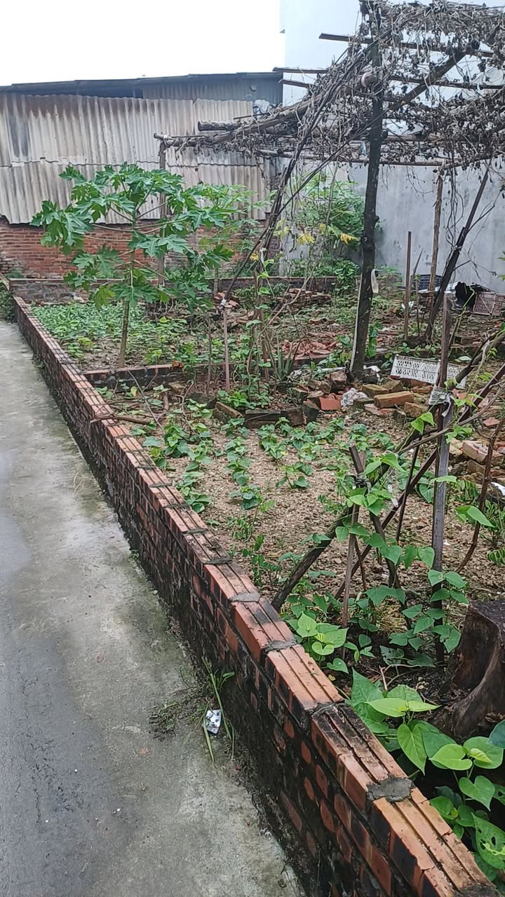 Đất nền mặt ngõ G1 Kim Thiều, Phù Khê, 52.7m² - Đón đầu quy hoạch vùng!