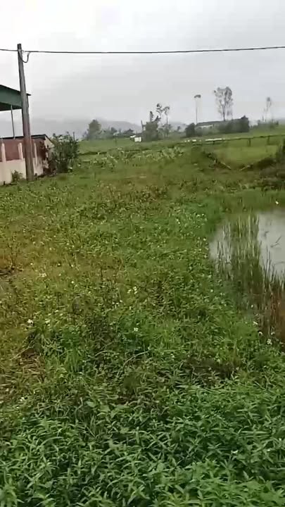 Đất nền Nghi Văn 187m² giá 3 tỷ - Đầu tư sinh lời ngay!