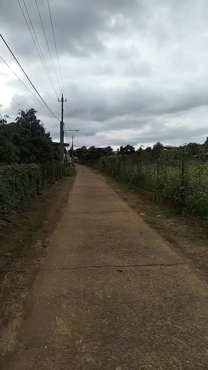 Đất thổ cư Thôn 5 Tân Tiến 300m² - Bán gấp chính chủ