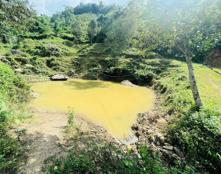 Đất Farm Quang Tiến Hòa Bình 33,000m² - Không gian nghỉ dưỡng lý tưởng!