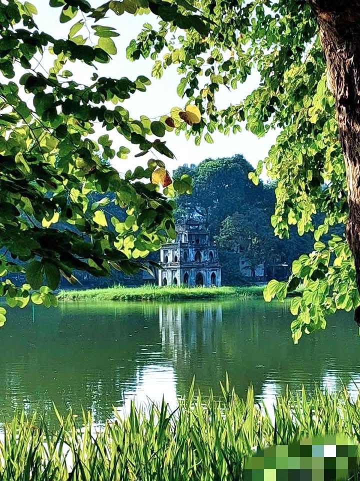 Đất Ba Đình 60m² giá 8 tỷ - Mặt ngõ thông thoáng, ô tô vào tận nơi!