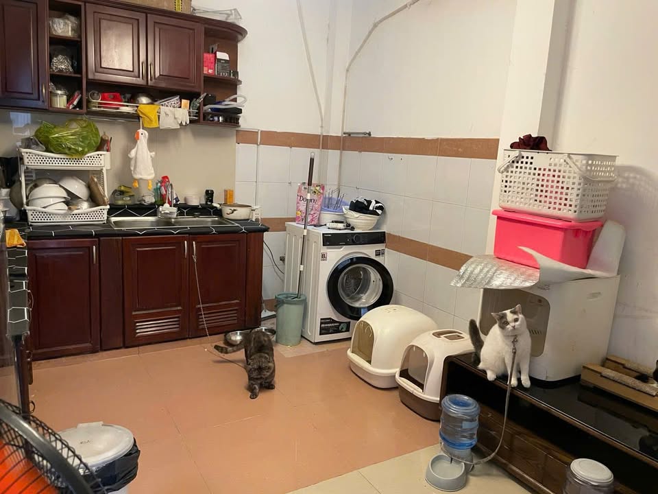 Nhà hẻm xe hơi Nguyễn Thiện Thuật, P.1, Q.3 - 66m² giá 14 tỷ - Đầu tư sinh lời tốt!