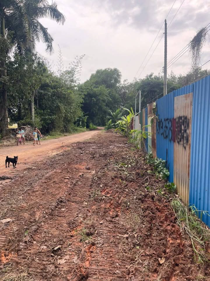 Đất Phú An Bến Cát 3800m² - Đầu Tư Sinh Lời Thú Vị