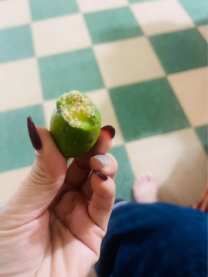 Nhà mặt đường Hương Sơn Kiến An 107m² giá 4 tỷ - Tiềm năng đầu tư hấp dẫn!